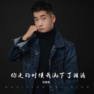 你走的时候我流下了泪滴(伴奏)