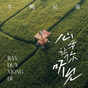 心要让你听见 (DJ九零版)