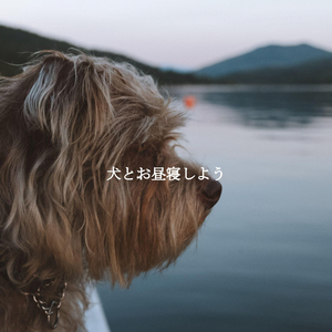 Thrilling Ambiance for Bright-Eyed Doggy
