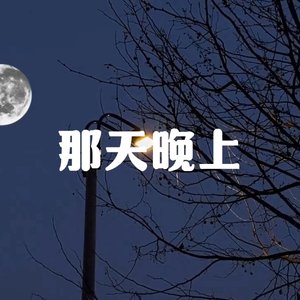 那天晚上