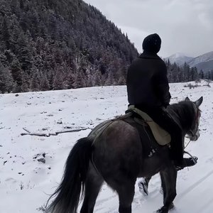 爱与恨的纠葛