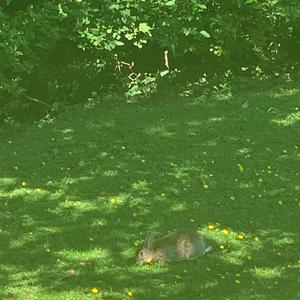 There's Nothing to Shout About