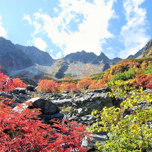 晩秋 (Remake Version)