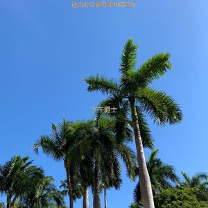 适合办公室工作浪漫的音乐