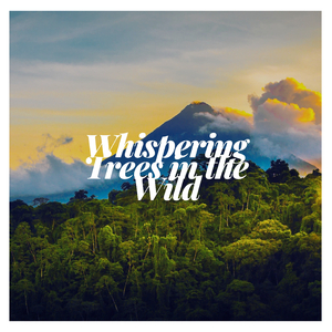 Melodic Forest Chorus