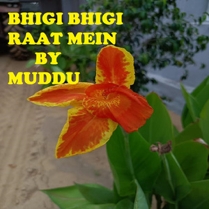 BHIGI BHIGI RAAT MEIN (Www.instagram.com/m_chaudhary98)