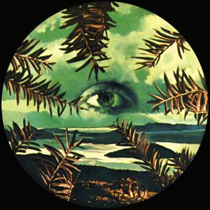 Everywhere, Everyone