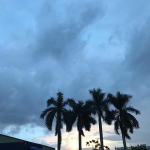 Cake（翻自 Capper）