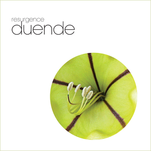 Duende (Solo Reprise)