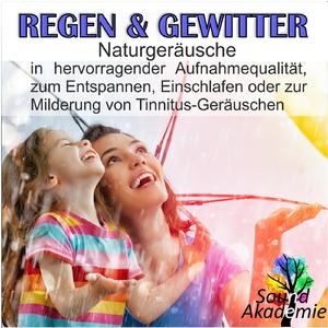 Prasselnder Regen auf einem Dach