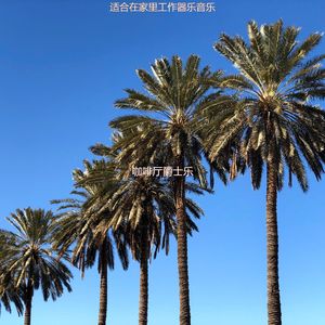 适合在家里工作丰富的音乐