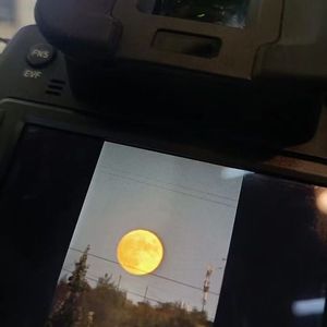 南风-整曲 伴奏