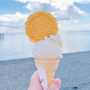 江湖行歌——剑网3亲友合唱版