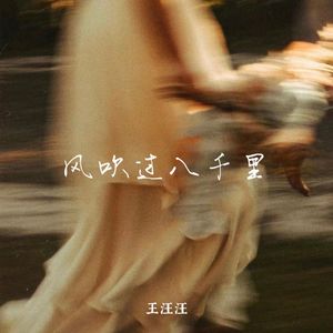 王汪汪-风吹八千里