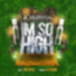 Im So High (feat. Tre Nyce & Djkemo)