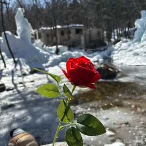 向未来奔跑的希望之旅