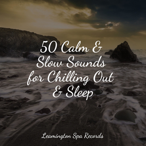 Welness and Calmness