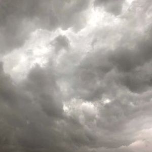 染血的作业本（prod.by毒猫毒猫）