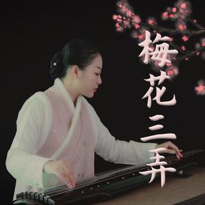 【古琴】梅花三弄