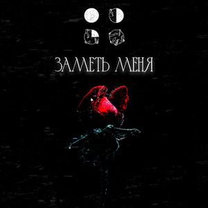 Заметь меня