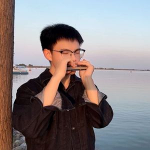 你的样子 口琴版