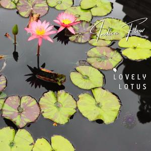 The Lovely Lotus (Radio Edit)