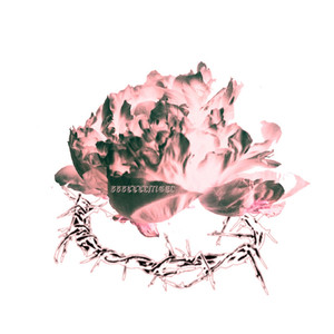 HEART VALVE:ANIMALITY