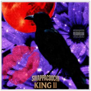 Another (Audios) (feat. The Swappacoochi Tribe & Pkingp)