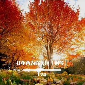 我不再为你哭泣（钢琴）