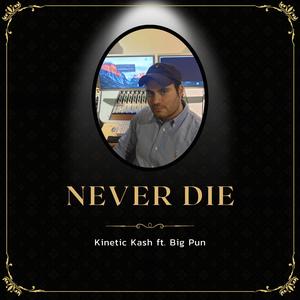 Never Die (feat. Big Pun)