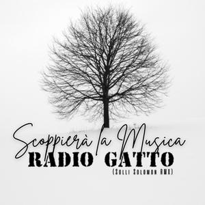 Scoppierà la Musica (with Radio Gatto)
