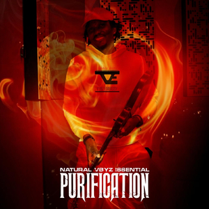 Purification