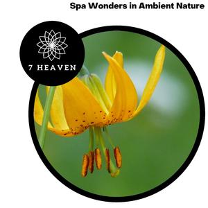 Classy N Weepy (Piano E Minor)