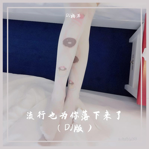 流行也为你落下来了（DJ版）