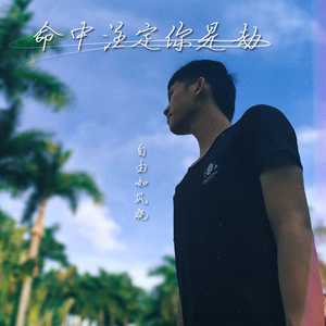 命中注定你是劫 伴奏