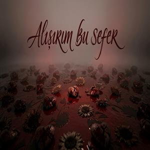 Alışırım Bu Sefer