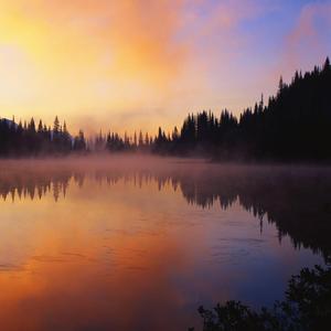 愛的代價-口琴版