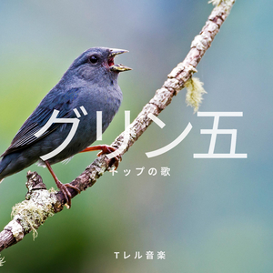 アウトアンドイン