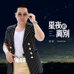 星夜的离别 (伴奏)