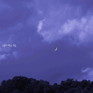 외로운 밤의 위로