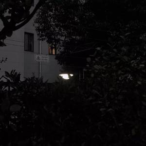 梁老师Tsong-不如不见面（ZHENG_LY remix）