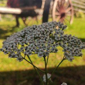 Kesäyön kutsu (feat. Ketsa)