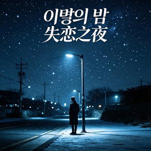 이별의 밤（失恋之夜）