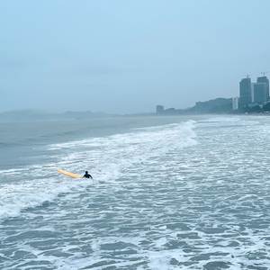 我想知道你的心跳有多剧烈