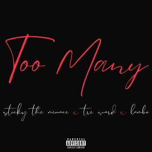 Too Many (feat. Sticky The Menace & Tre Ward)