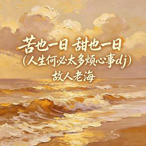 苦也一日 甜也一日（人生何必太多烦心事dj）