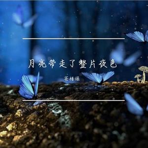 月亮带走了整片夜色