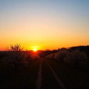 Садок вишневий (Deep Sunset Mix)