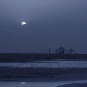 一直游到海变蓝