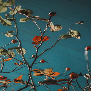 아이야 사랑해 오늘도 잘자렴